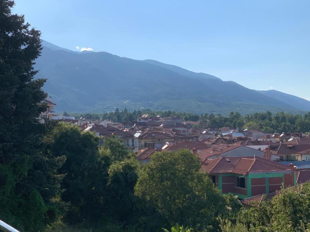 Rodon Apartment With Great View, Sauna And Jacuzzi Litóchoron Phòng bức ảnh
